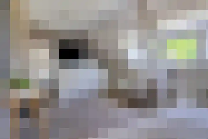 Singel 38 Vlissingen thumbnail 26