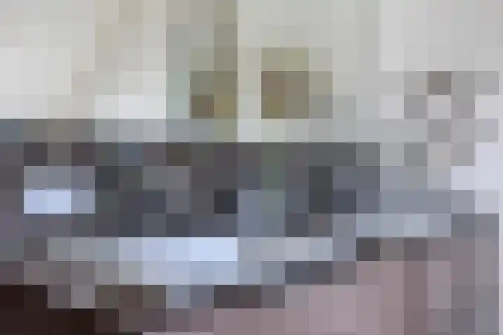 Singel 38 Vlissingen thumbnail 30