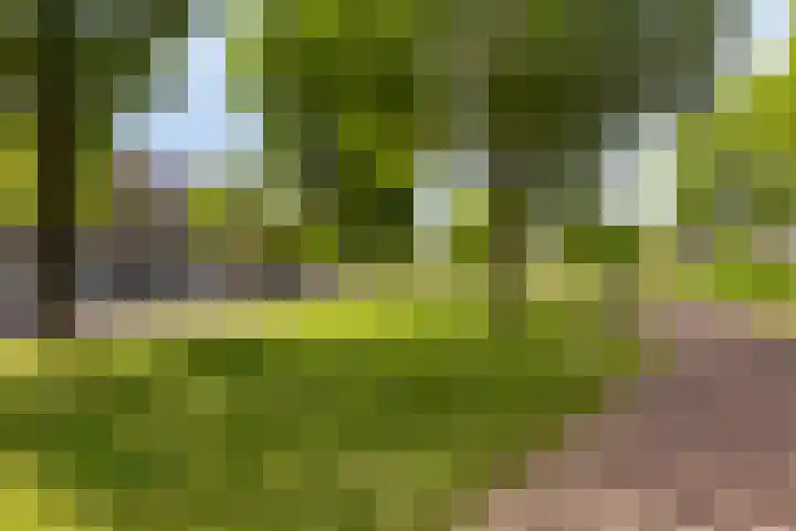 Singel 38 Vlissingen thumbnail 38