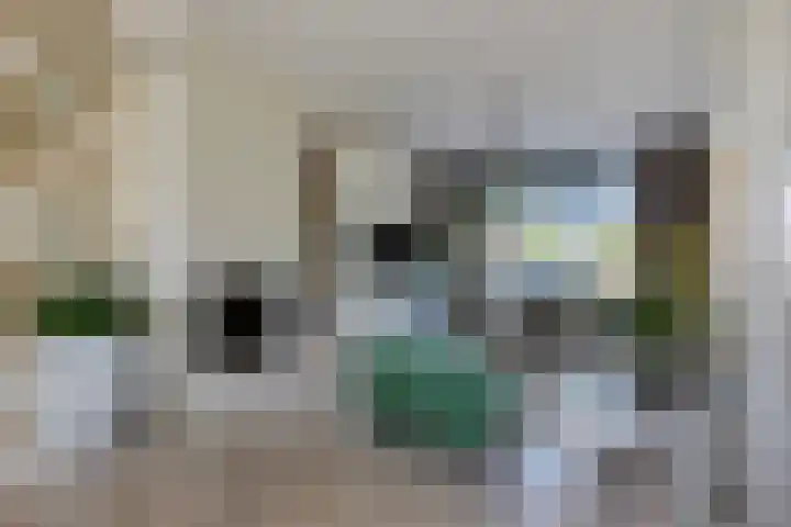 Singel 38 Vlissingen thumbnail 6