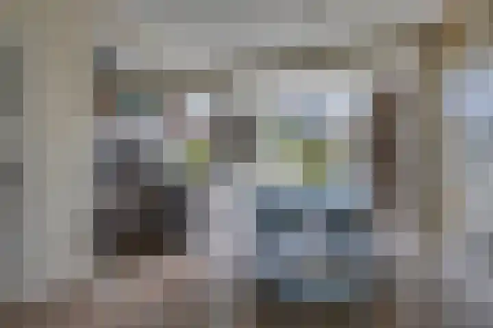 Singel 38 Vlissingen thumbnail 9