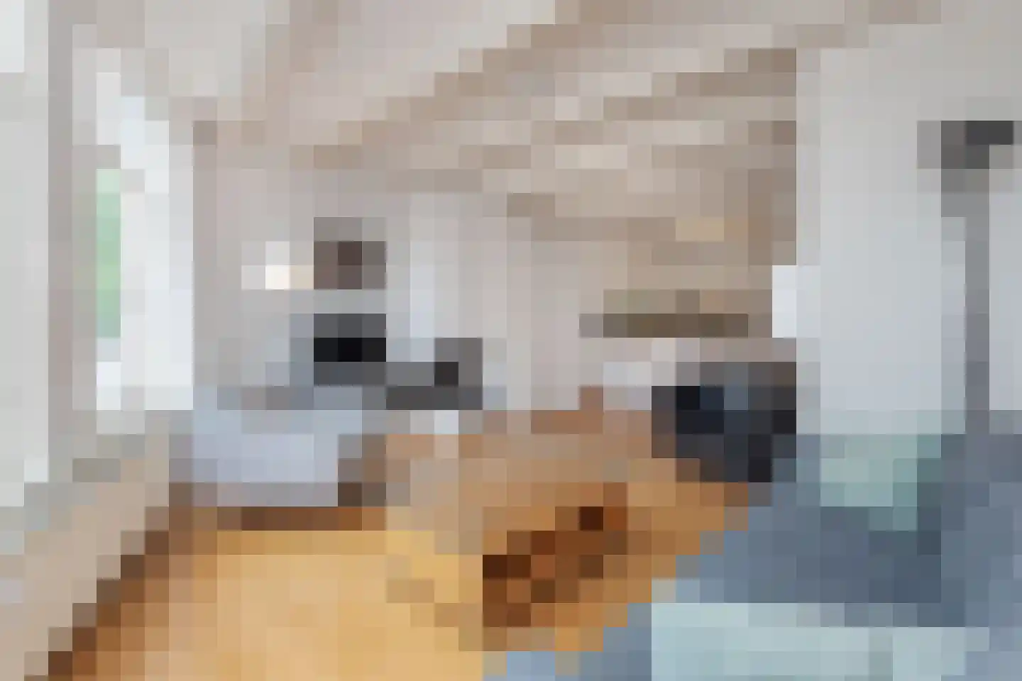 Singel 381 1 Amsterdam thumbnail 6