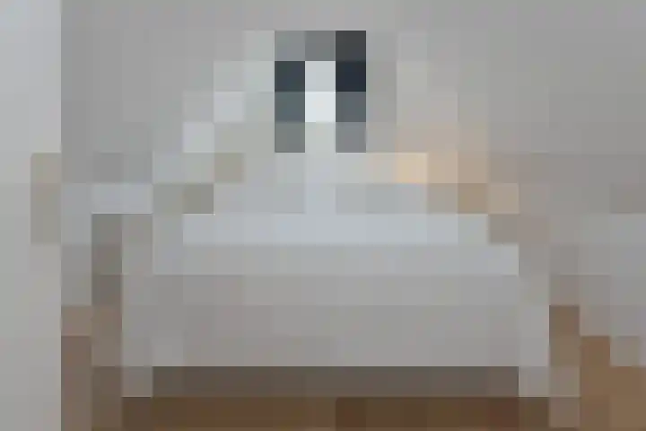 Singel 381 3 Amsterdam thumbnail 11