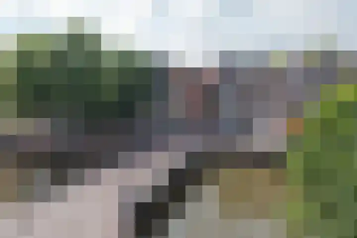 Singel 381 3 Amsterdam thumbnail 9