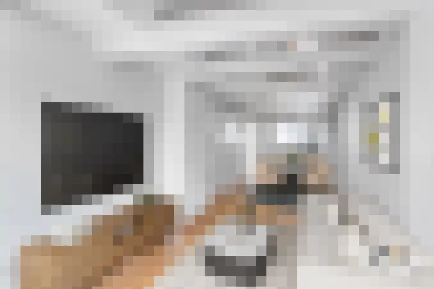 Singel 389 Amsterdam thumbnail 34