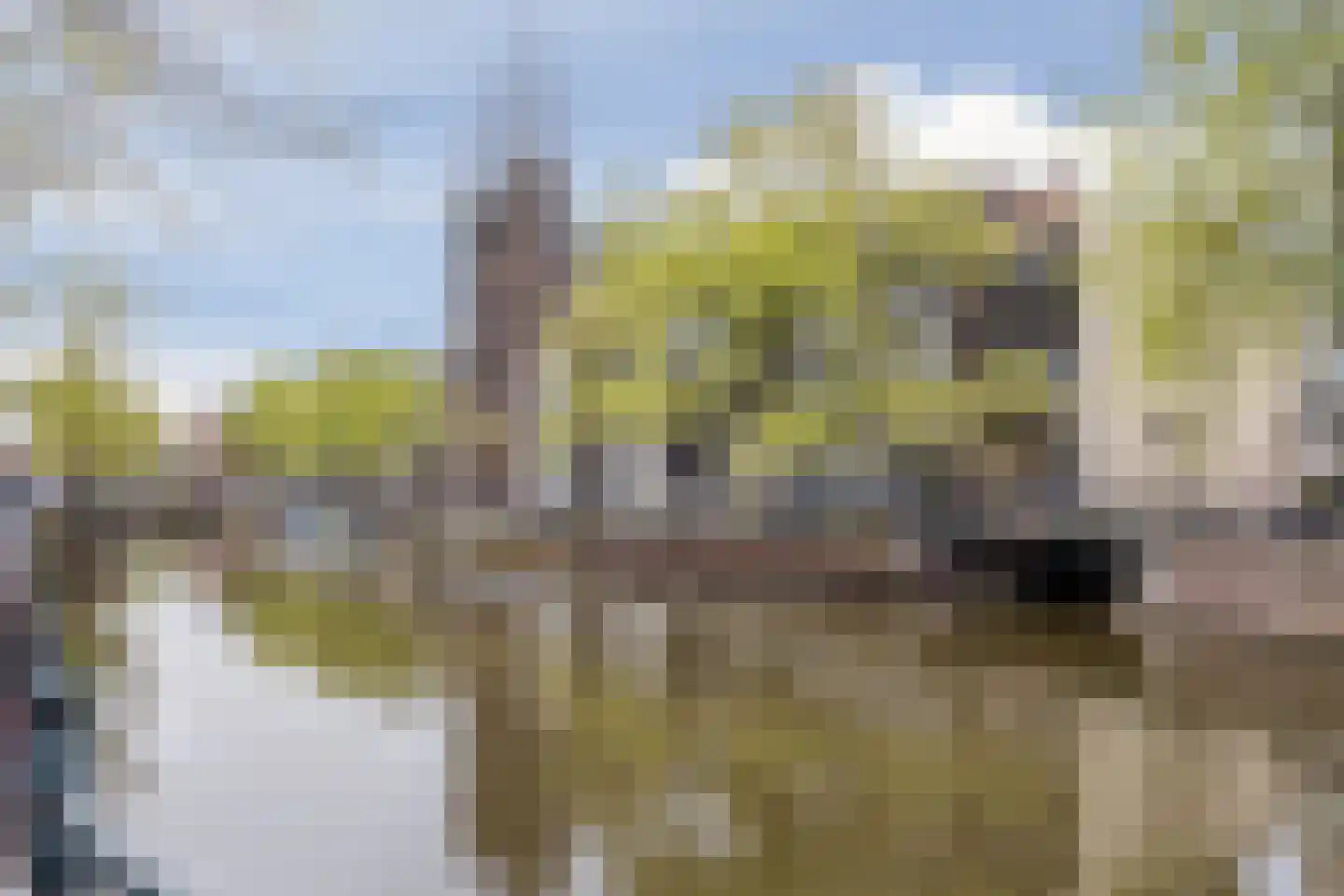 Singel 389 Amsterdam thumbnail 45