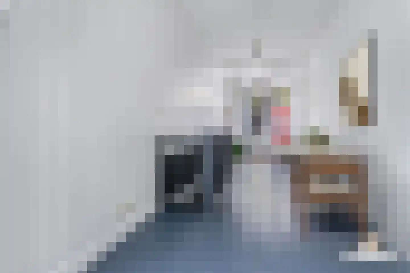 Singel 389 Amsterdam thumbnail 7