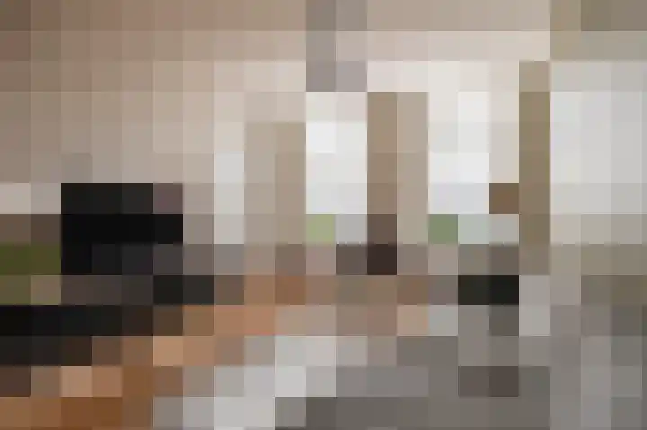 Singel 39 Wijk bij Duurstede thumbnail 12