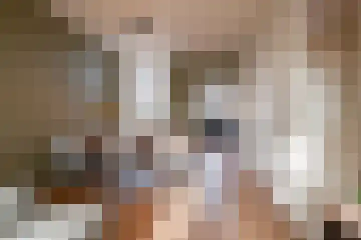 Singel 39 Wijk bij Duurstede thumbnail 14