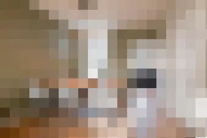 Singel 39 Wijk bij Duurstede thumbnail 15