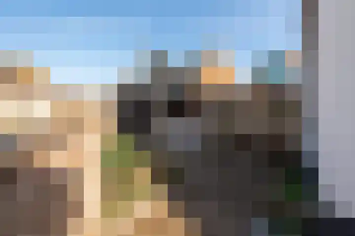 Singel 39 Wijk bij Duurstede thumbnail 19