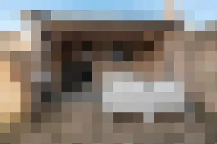 Singel 39 Wijk bij Duurstede thumbnail 21