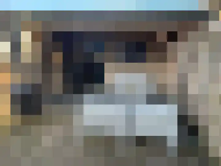 Singel 39 Wijk bij Duurstede thumbnail 22