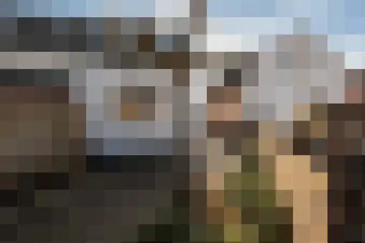 Singel 39 Wijk bij Duurstede thumbnail 26