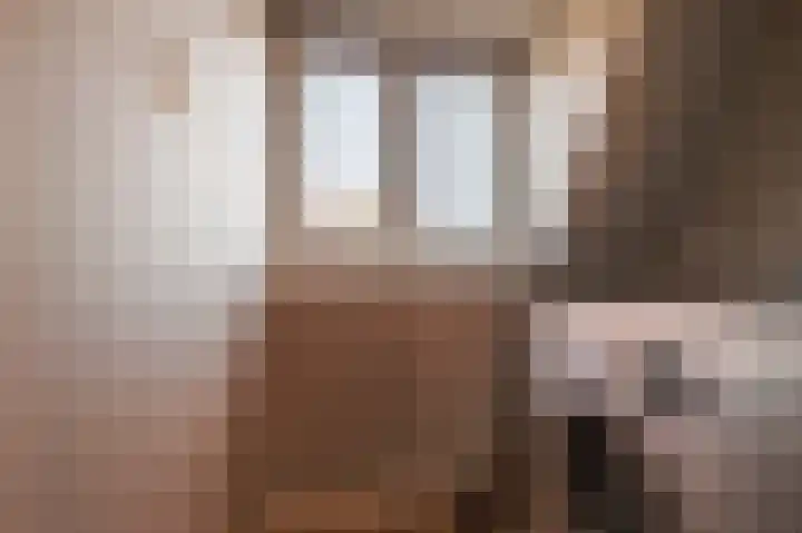 Singel 39 Wijk bij Duurstede thumbnail 29