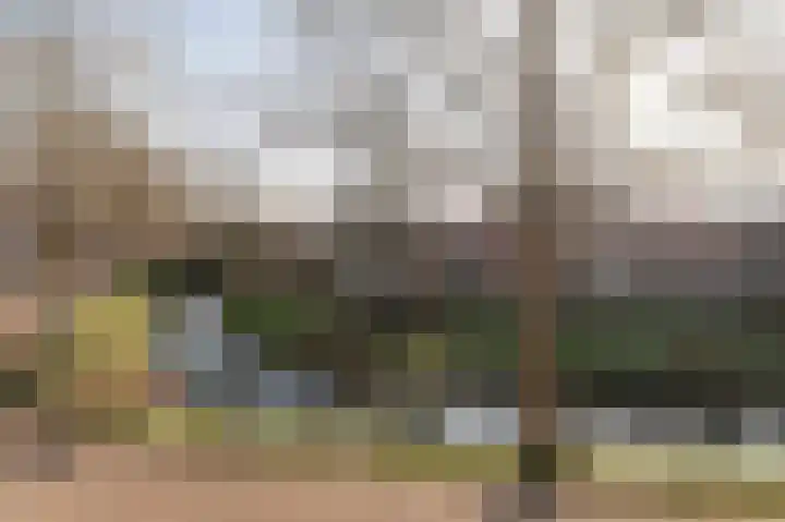 Singel 39 Wijk bij Duurstede thumbnail 34