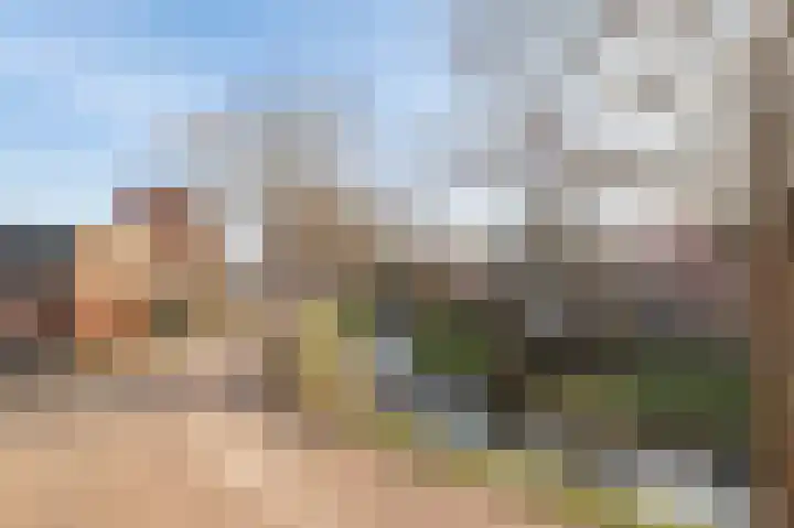 Singel 39 Wijk bij Duurstede thumbnail 35