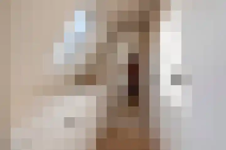Singel 39 Wijk bij Duurstede thumbnail 37