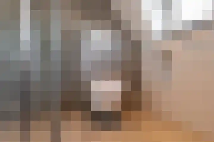 Singel 39 Wijk bij Duurstede thumbnail 41