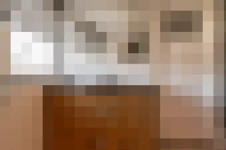 Singel 39 Wijk bij Duurstede thumbnail 45