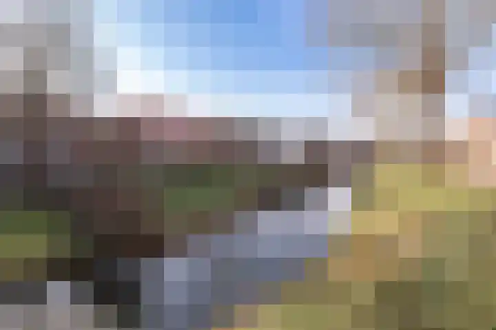 Singel 39 Wijk bij Duurstede thumbnail 50
