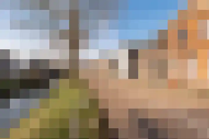 Singel 39 Wijk bij Duurstede thumbnail 51