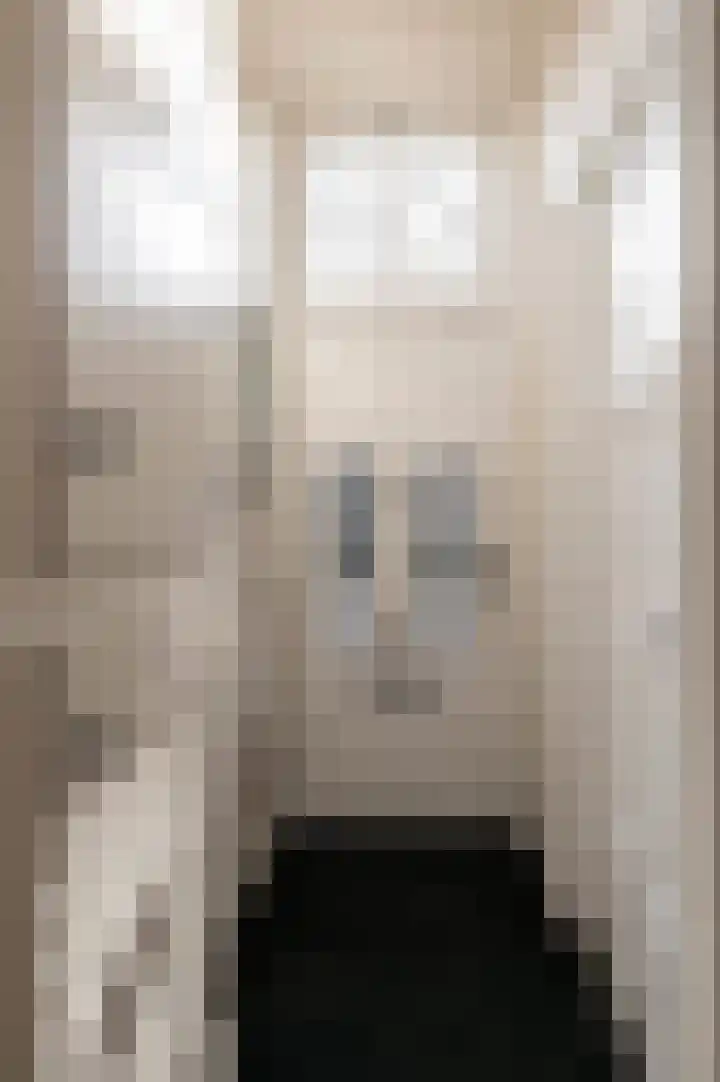 Singel 39 Wijk bij Duurstede thumbnail 6