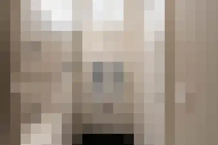 Singel 39 Wijk bij Duurstede thumbnail 7