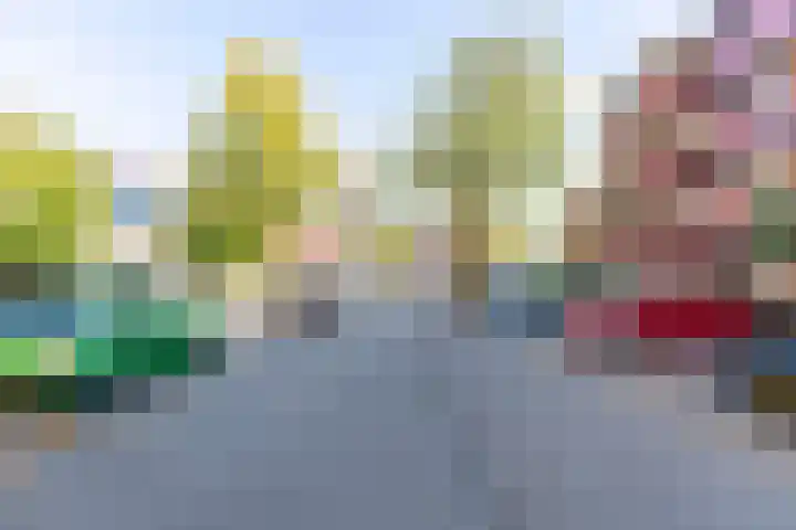 Singel 396 Dordrecht thumbnail 27