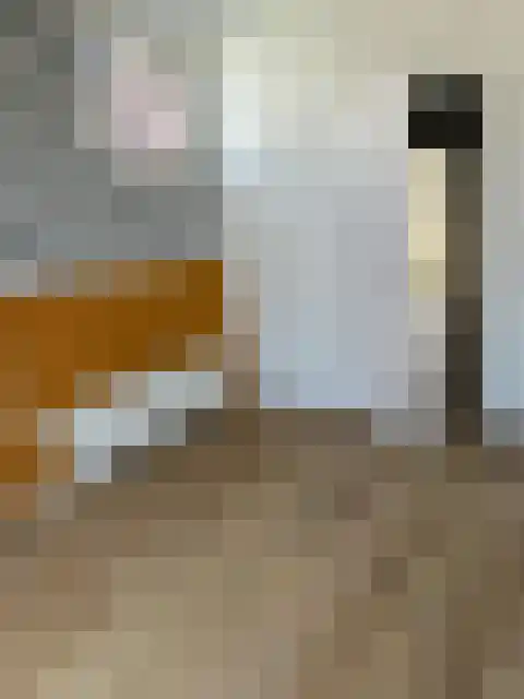 Singel 397 Dordrecht thumbnail 6