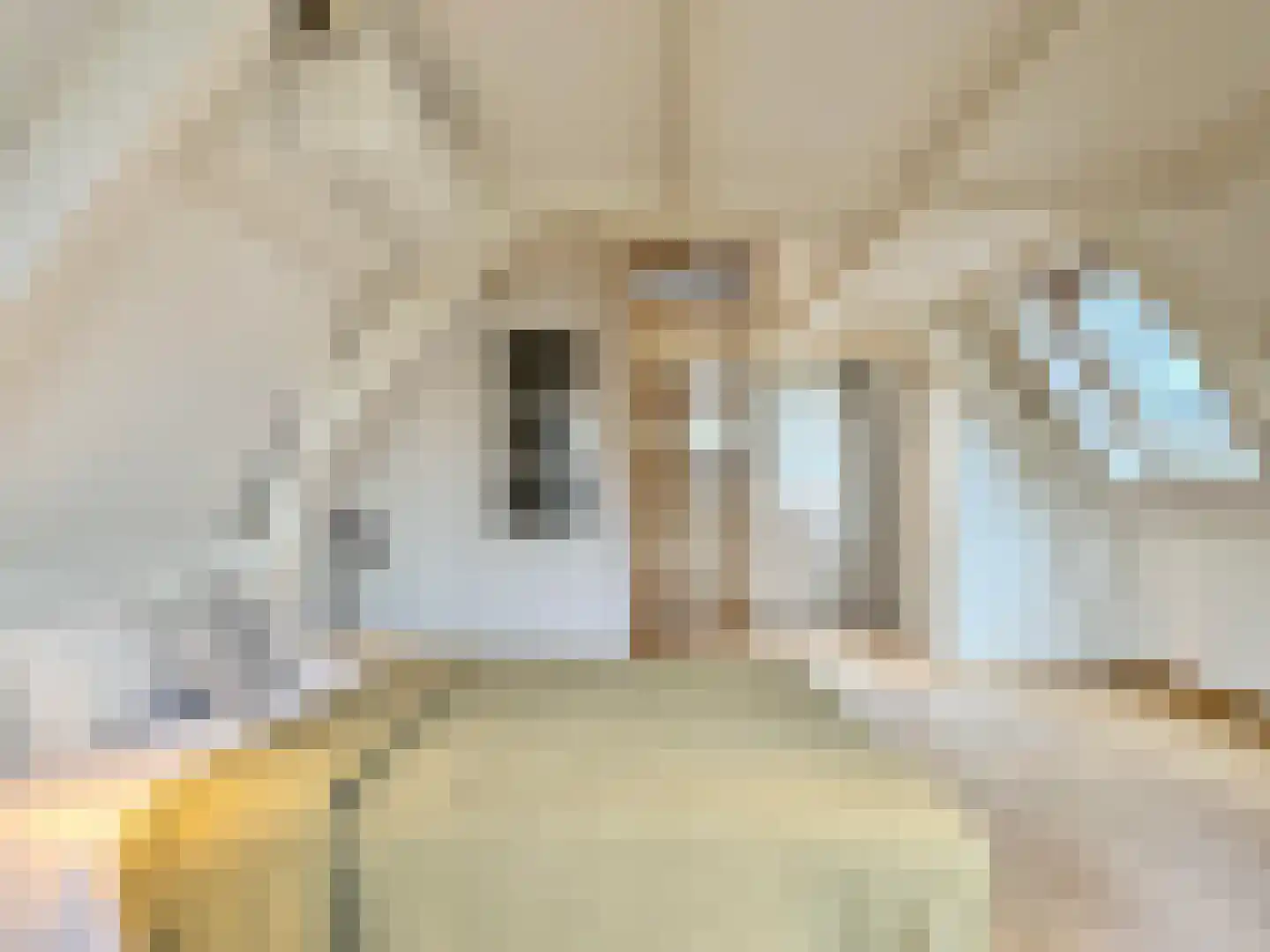 Singel 398 Amsterdam thumbnail 10