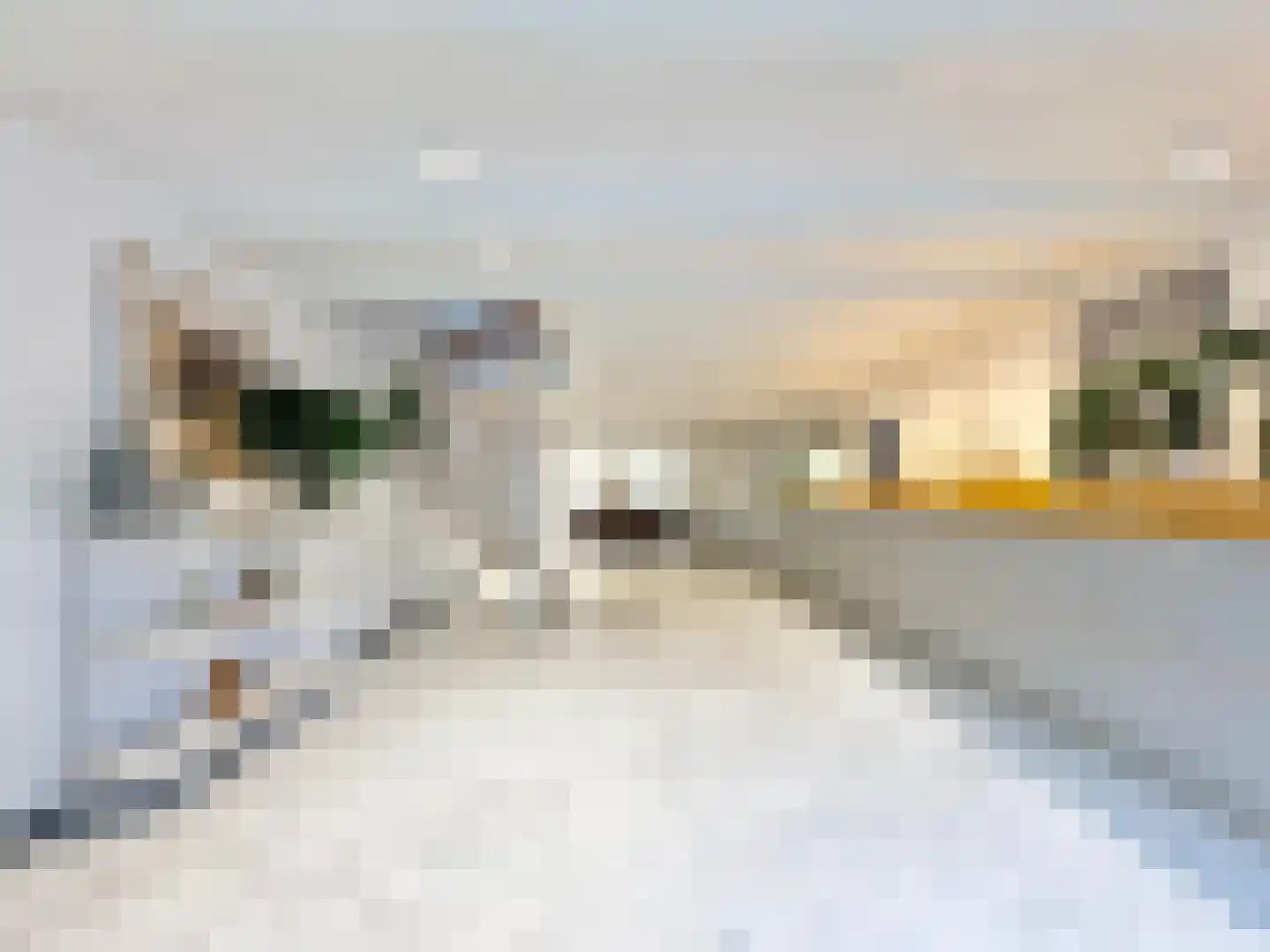 Singel 398 Amsterdam thumbnail 11