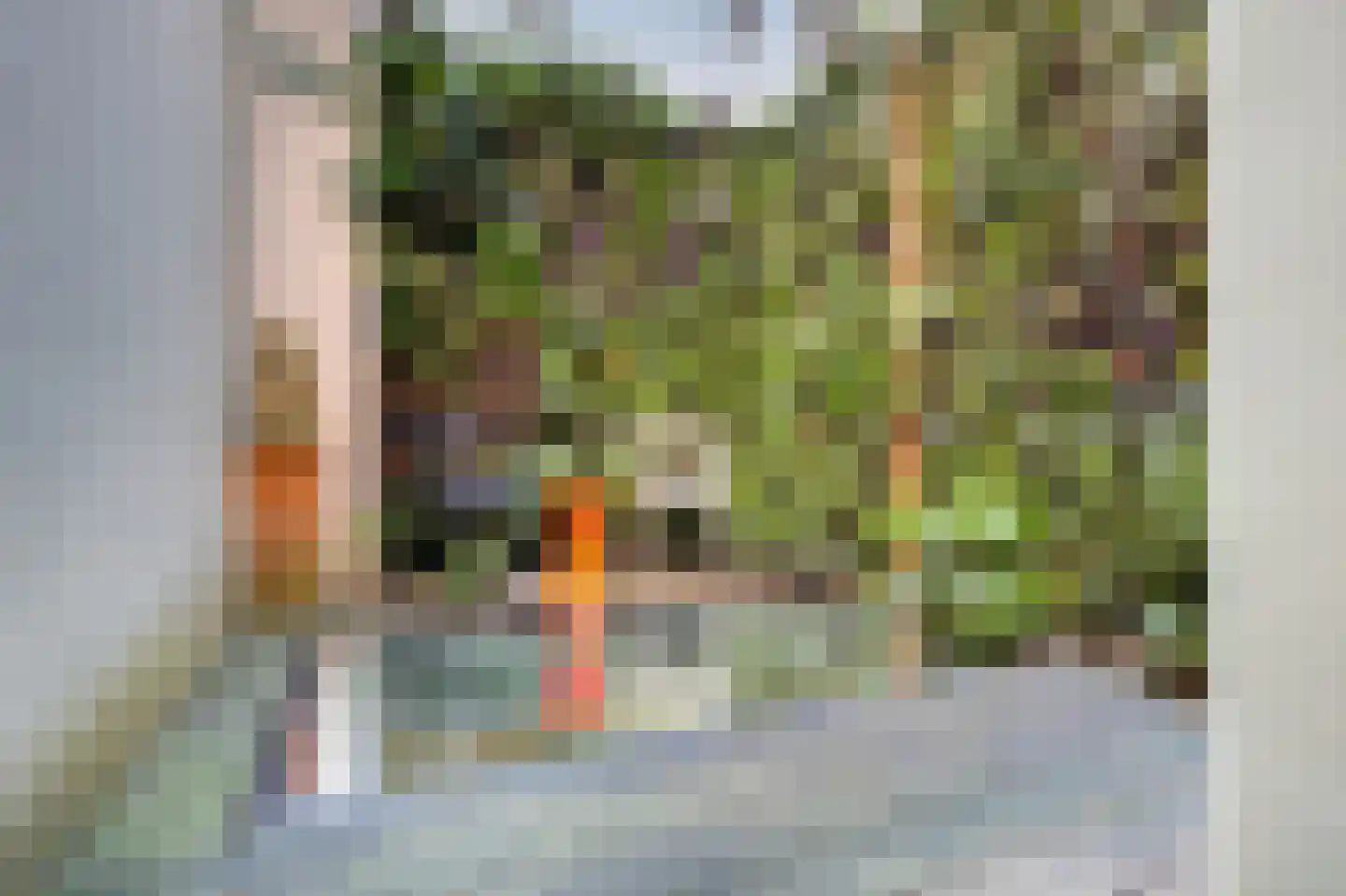 Singel 399 A Amsterdam thumbnail 11