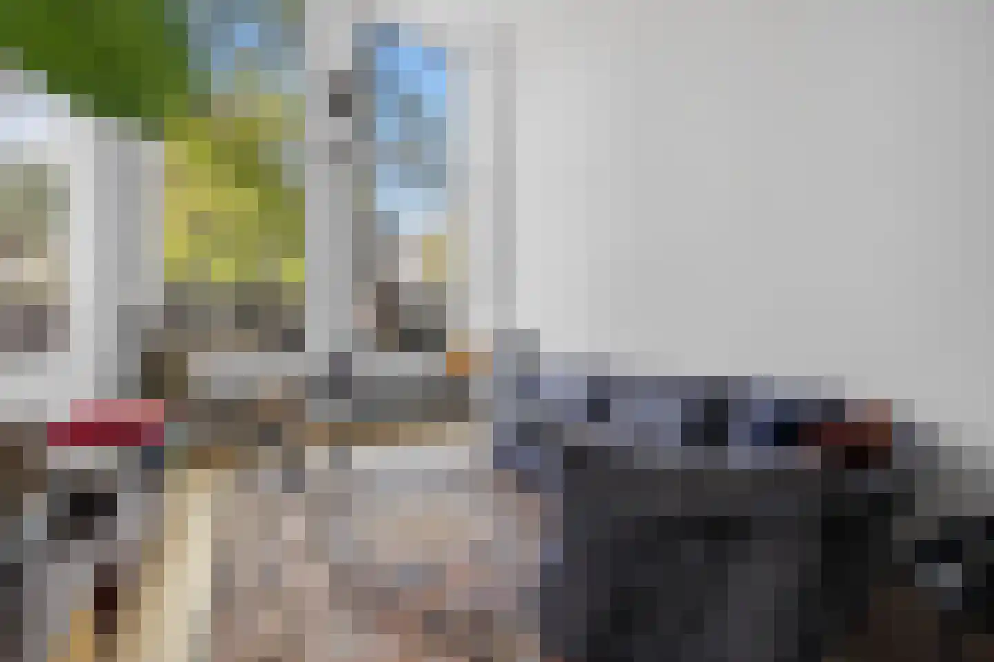 Singel 399 A Amsterdam thumbnail 15
