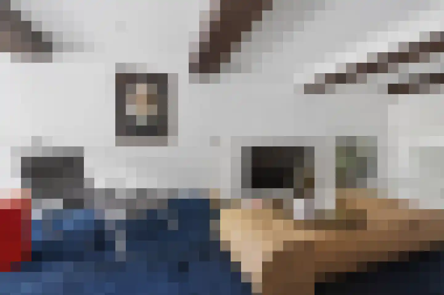 Singel 399 A Amsterdam thumbnail 19