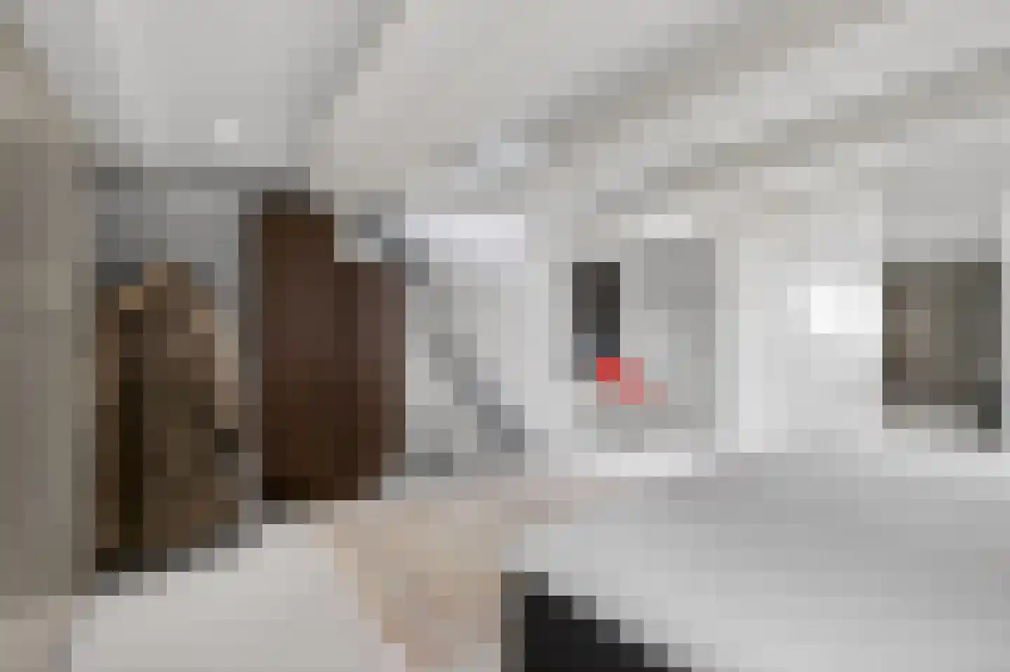 Singel 399 A Amsterdam thumbnail 24