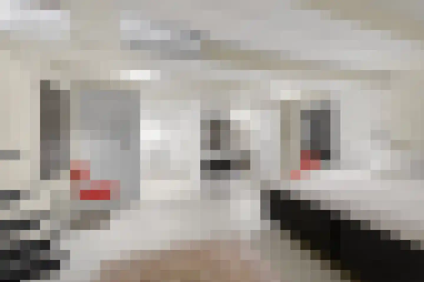 Singel 399 A Amsterdam thumbnail 25