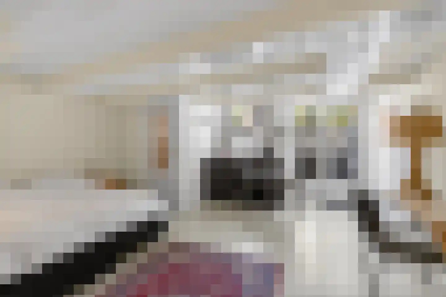 Singel 399 A Amsterdam thumbnail 31