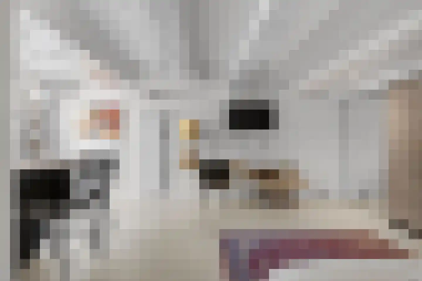 Singel 399 A Amsterdam thumbnail 32