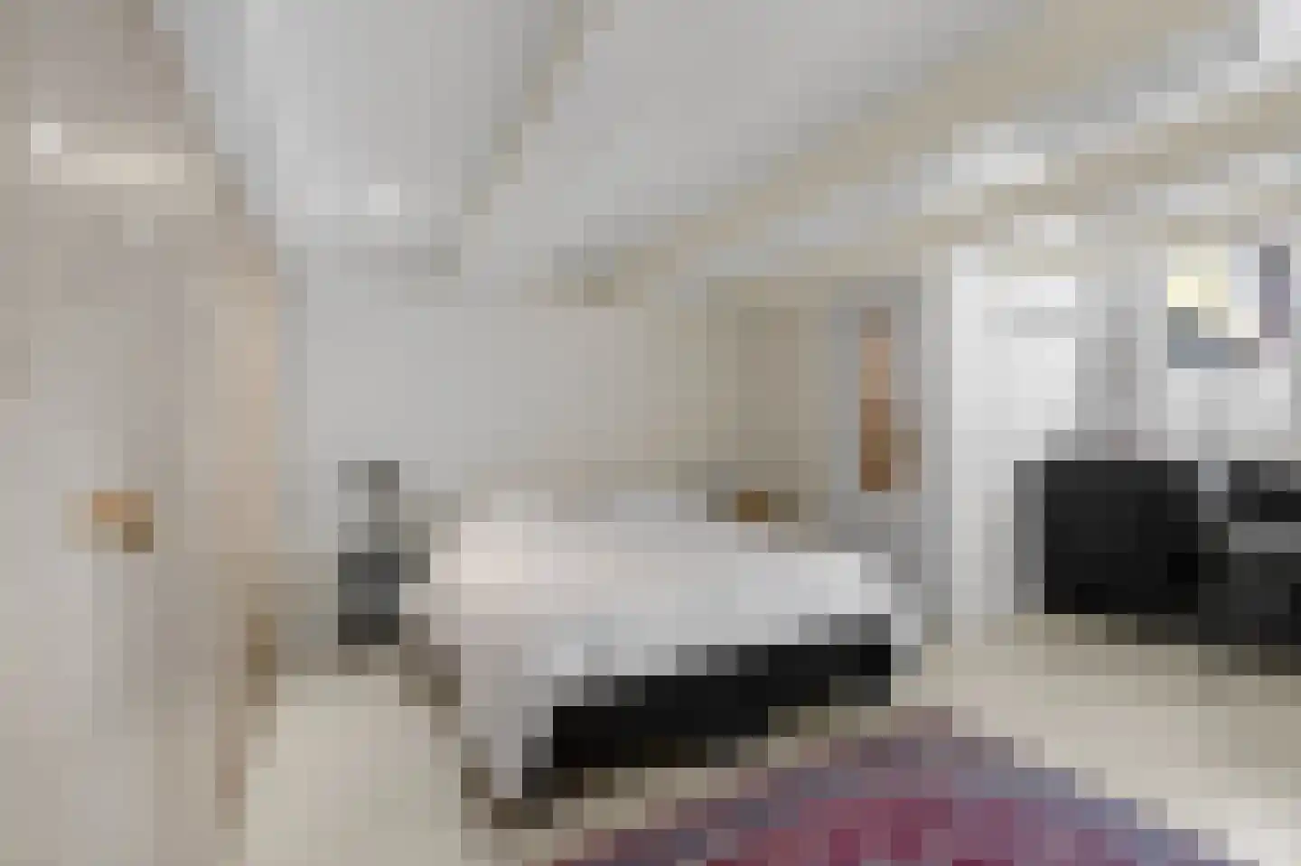 Singel 399 A Amsterdam thumbnail 33