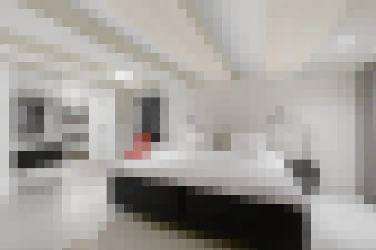 Singel 399 A Amsterdam thumbnail 4
