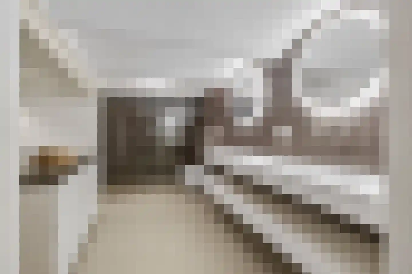 Singel 399 A Amsterdam thumbnail 5
