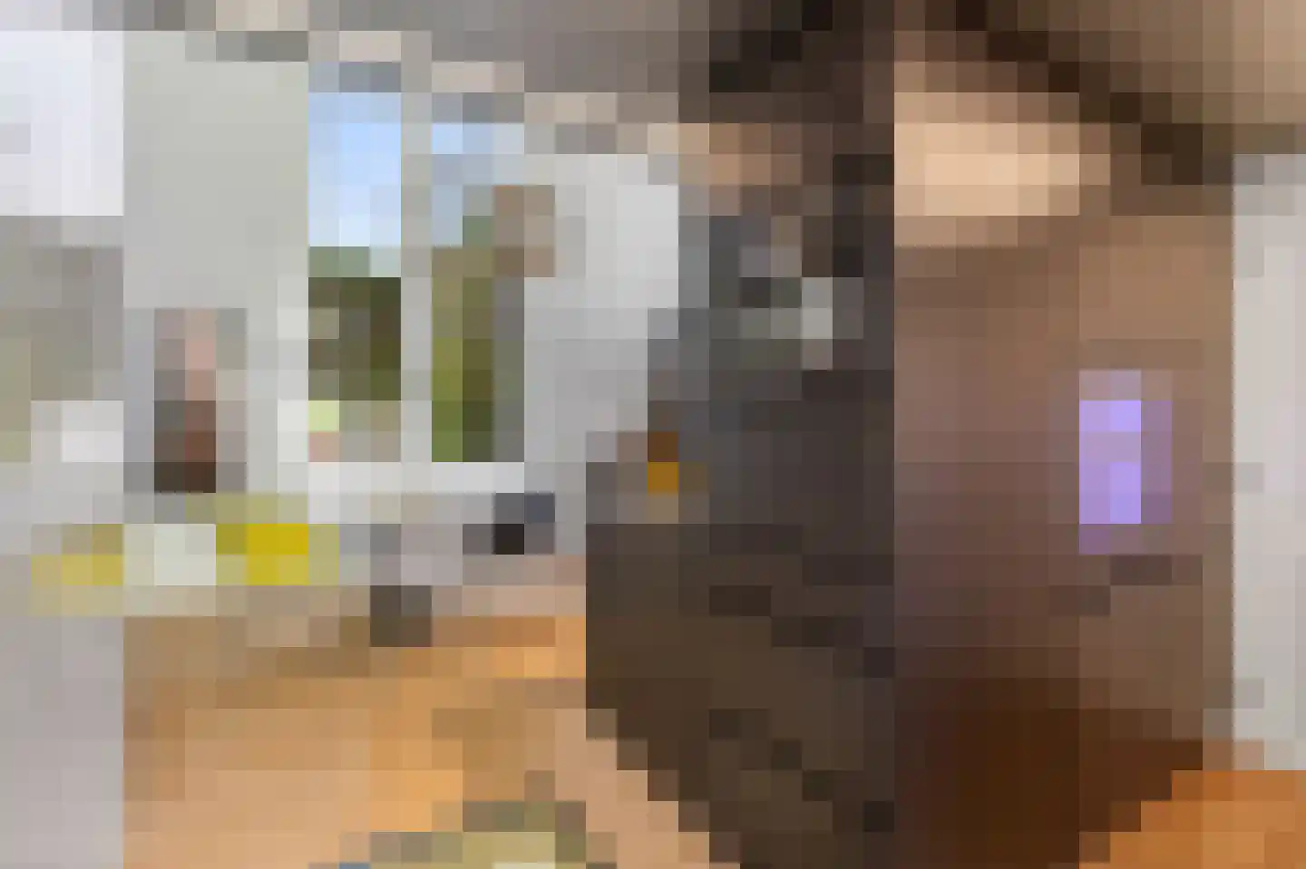 Singel 399 A Amsterdam thumbnail 9