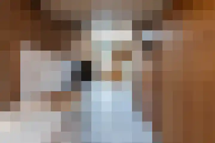 Singel 4 Noordeloos thumbnail 22