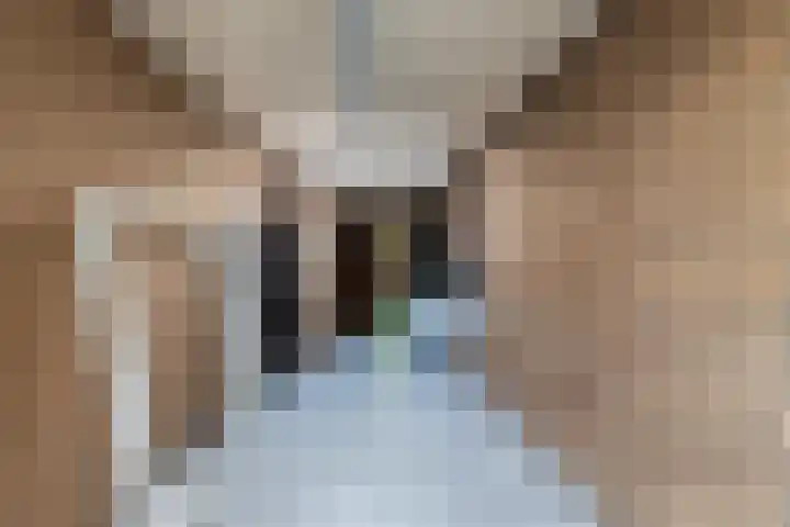 Singel 4 Noordeloos thumbnail 23
