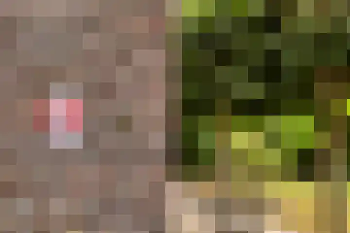 Singel 4 Noordeloos thumbnail 25