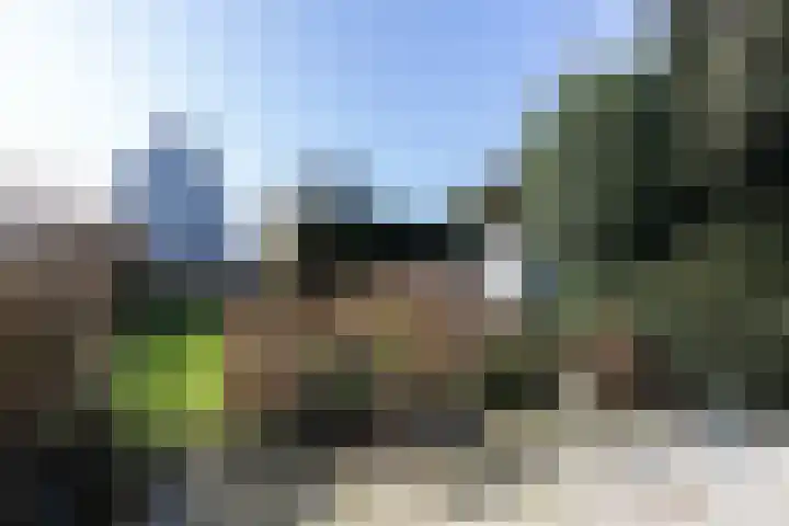 Singel 4 Noordeloos thumbnail 34