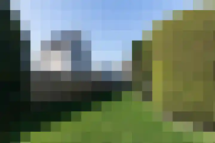 Singel 4 Noordeloos thumbnail 35