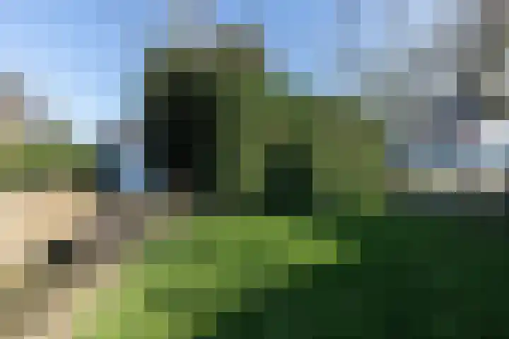 Singel 4 Noordeloos thumbnail 36