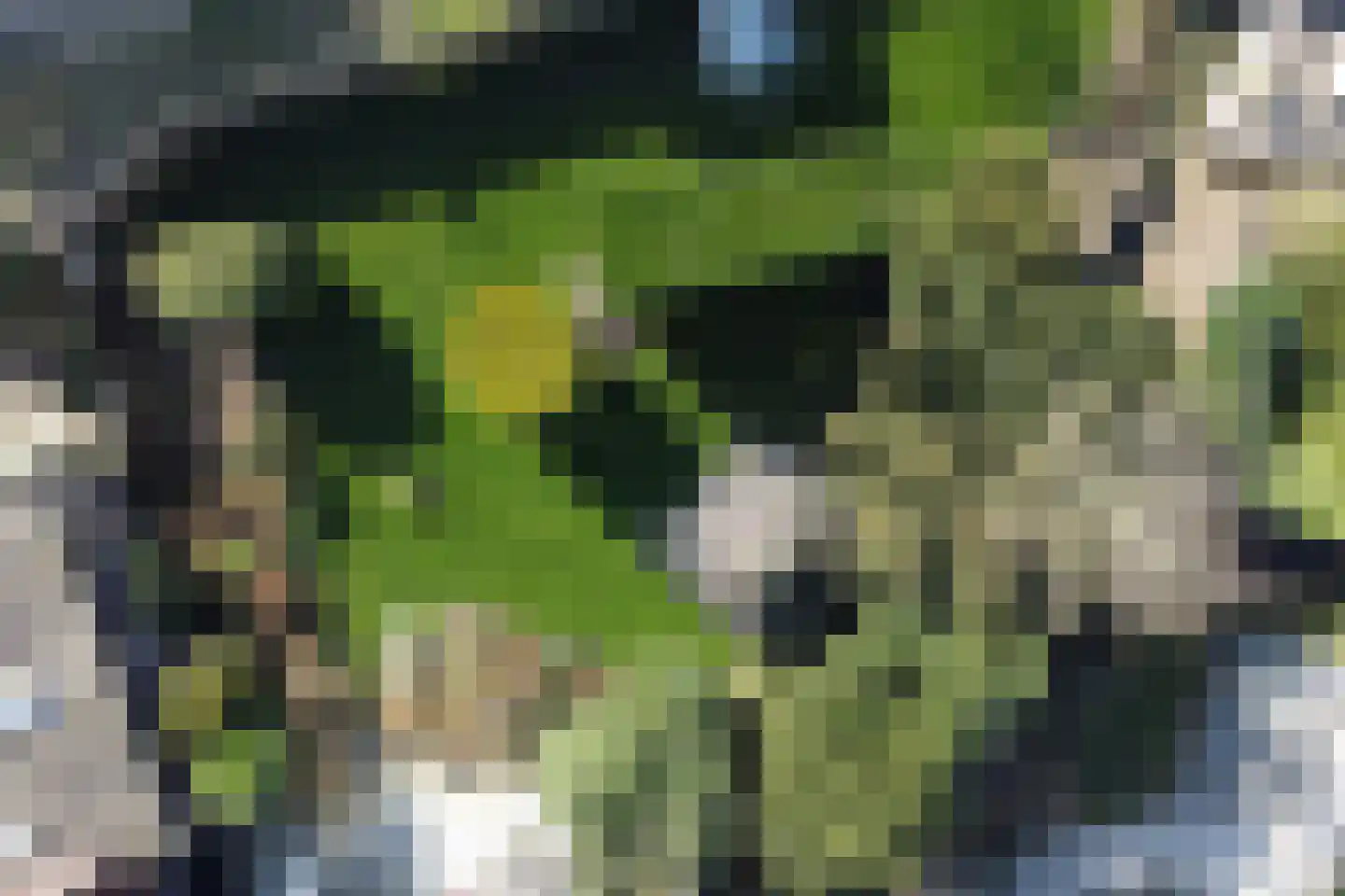 Singel 4 Noordeloos thumbnail 37